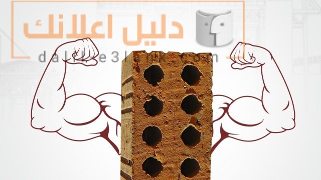 468589065_1075847160901056_1889248860019089233_n