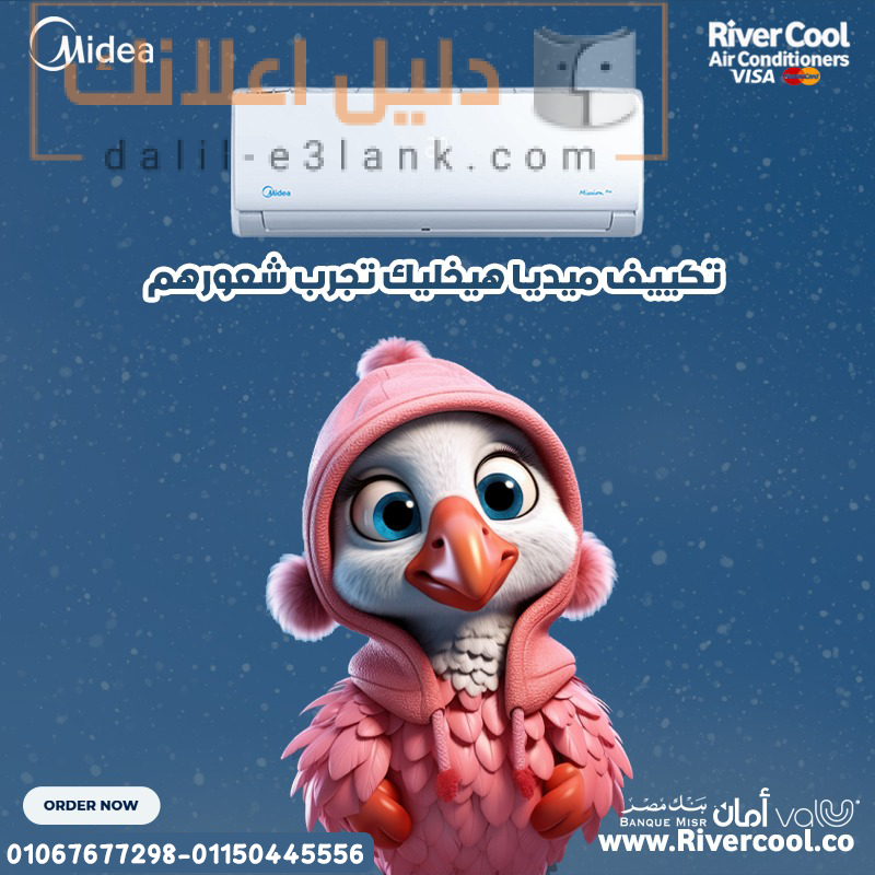 ميديا 33