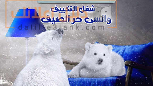 كاريير 22