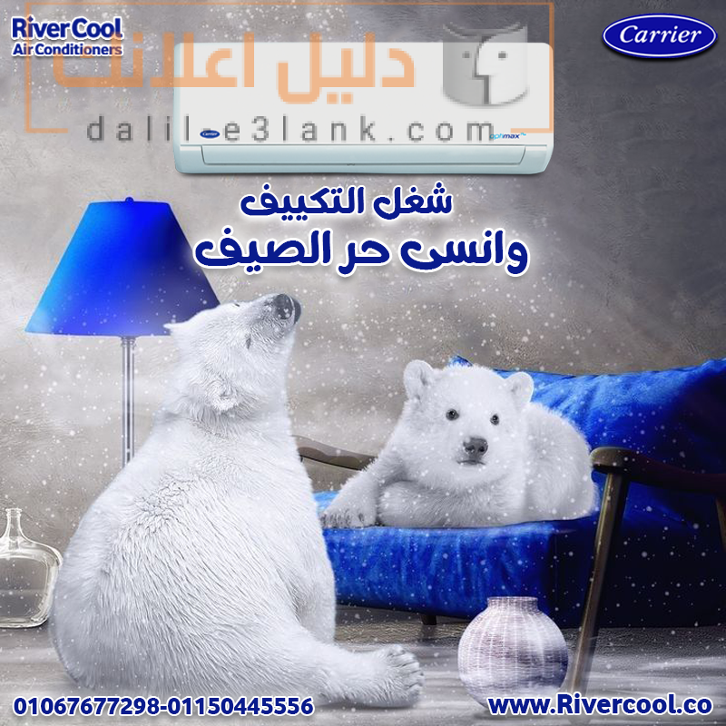 كاريير 22