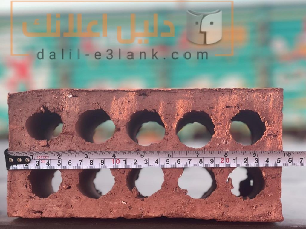 534563088_1161143332702186_3640604740111789501_n