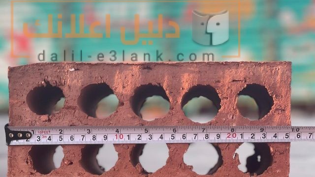 534563088_1161143332702186_3640604740111789501_n