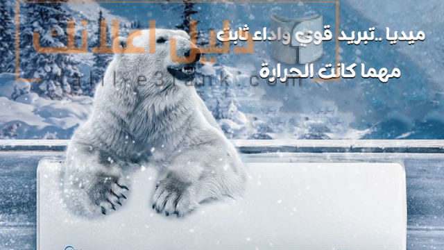 مي ديا