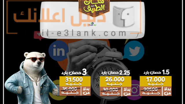 ال جي 15-5-2025 الدب