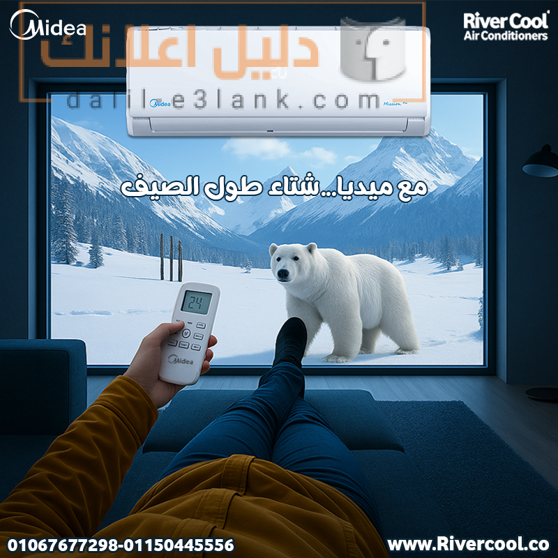 مايديا