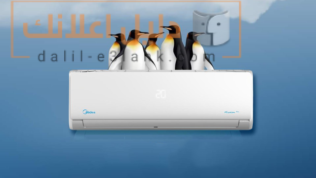 ميدددياا